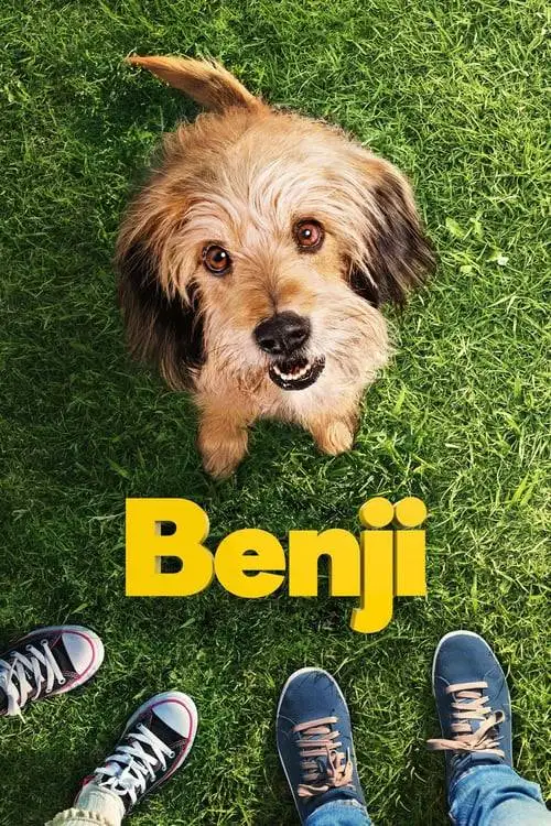 ดูหนังออนไลน์ฟรี Benji (2018) เบนจี้