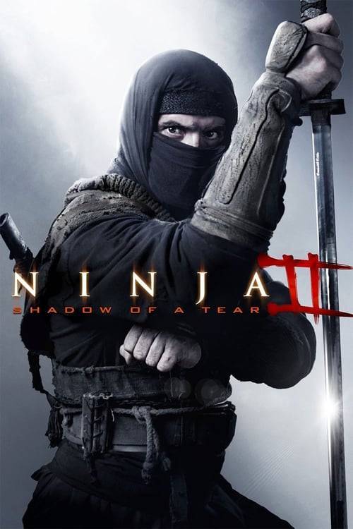 ดูหนังออนไลน์ Ninja shadow of a tear (2013) นินจา 2 น้ําตาเพชฌฆาต