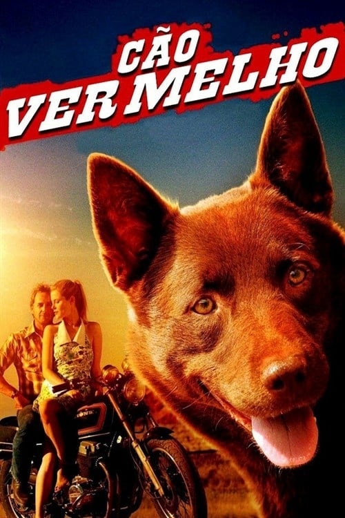 ดูหนังออนไลน์ Red Dog (2011) เพื่อนซี้หัวใจหยุดโลก