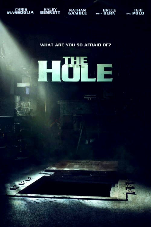 ดูหนังออนไลน์ The Hole (2009) มหัศจรรย์หลุมทะลุพิภพ
