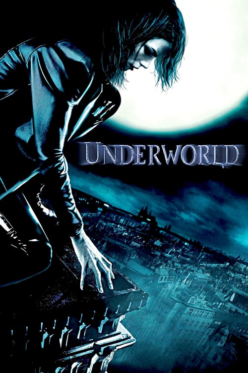 ดูหนังออนไลน์ Underworld (2003) สงครามโค่นพันธุ์อสูร หนังมาสเตอร์ หนังเต็มเรื่อง ดูหนังฟรีออนไลน์ ดูหนังออนไลน์ หนังออนไลน์ ดูหนังใหม่ หนังพากย์ไทย หนังซับไทย ดูฟรีHD