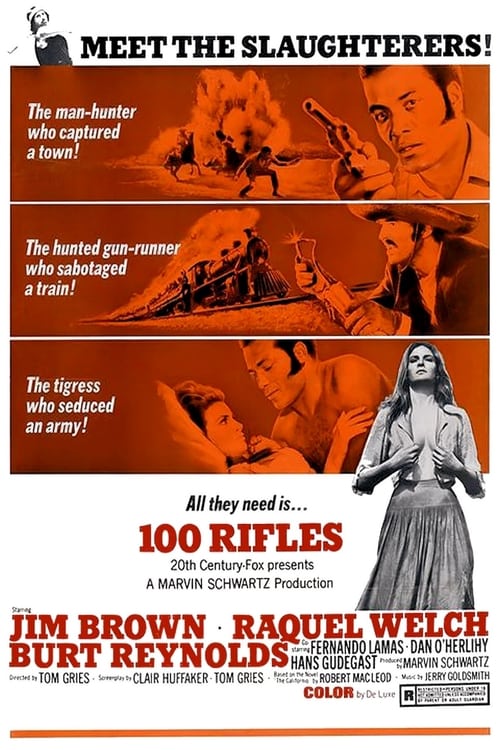 ดูหนังออนไลน์ 100 Rifles (1969) ศึกเม็กซิกัน