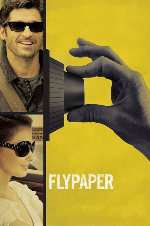 ดูหนังออนไลน์ Flypaper (2011) ปล้นสะดุด มาหยุดที่รัก
