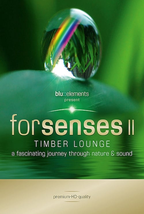 ดูหนังออนไลน์ Forsenses II Timber Lounge (2011)