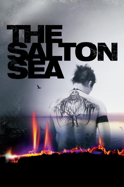 ดูหนังออนไลน์ The Salton Sea (2002) ฝังแค้น ล่าล้างเดือด หนังมาสเตอร์ หนังเต็มเรื่อง ดูหนังฟรีออนไลน์ ดูหนังออนไลน์ หนังออนไลน์ ดูหนังใหม่ หนังพากย์ไทย หนังซับไทย ดูฟรีHD