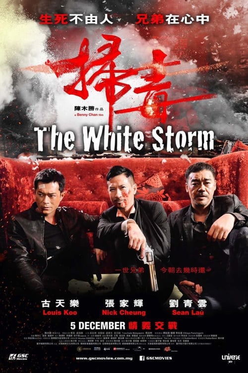 ดูหนังออนไลน์ The White Storm (2013) โคตรคนโค่นคนอันตราย