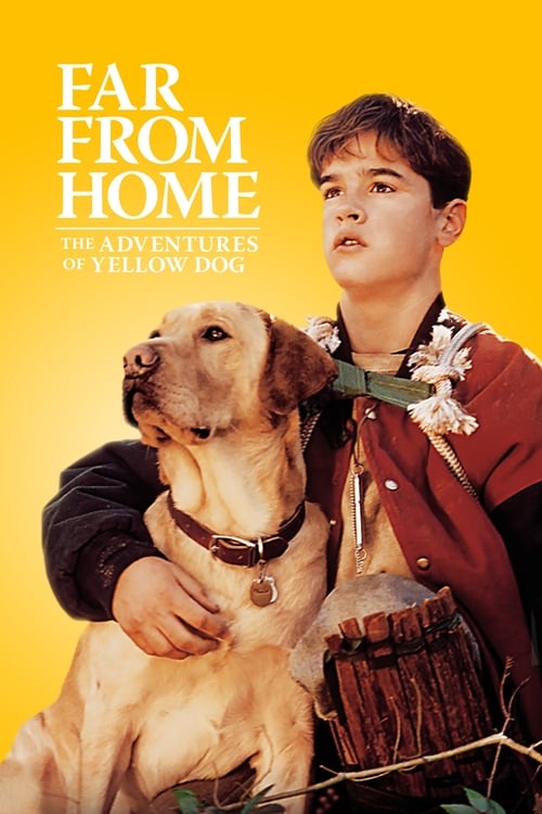 ดูหนังออนไลน์ Far from Home: The Adventures of Yellow Dog (1995) เพื่อนรักแสนรู้
