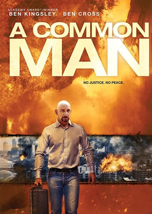 ดูหนังออนไลน์ A Common Man (2013) สุมแค้นวินาศกรรมเมือง