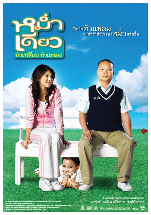ดูหนังออนไลน์ Mam diaw hua liam hua laem (2008) หม่ำเดียว หัวเหลี่ยมหัวแหลม