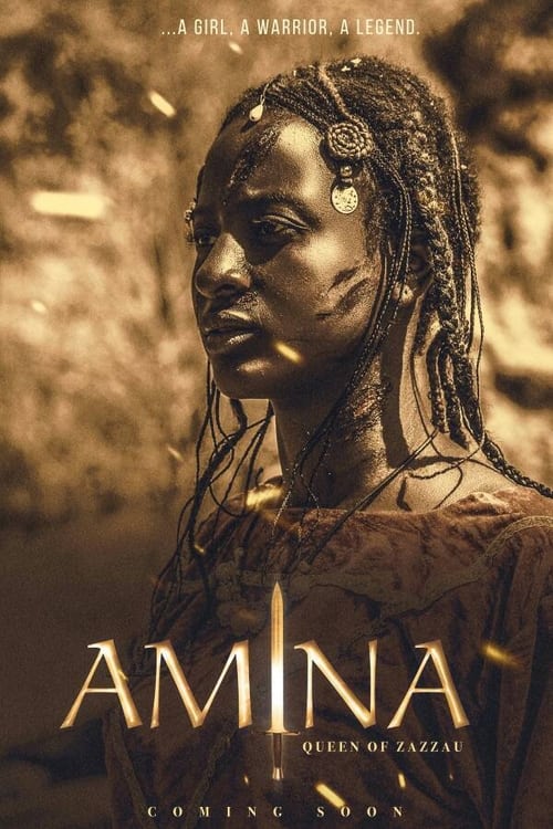 ดูหนังออนไลน์ [NETFLIX] Amina (2021) อะมีนา ราชินีนักรบ