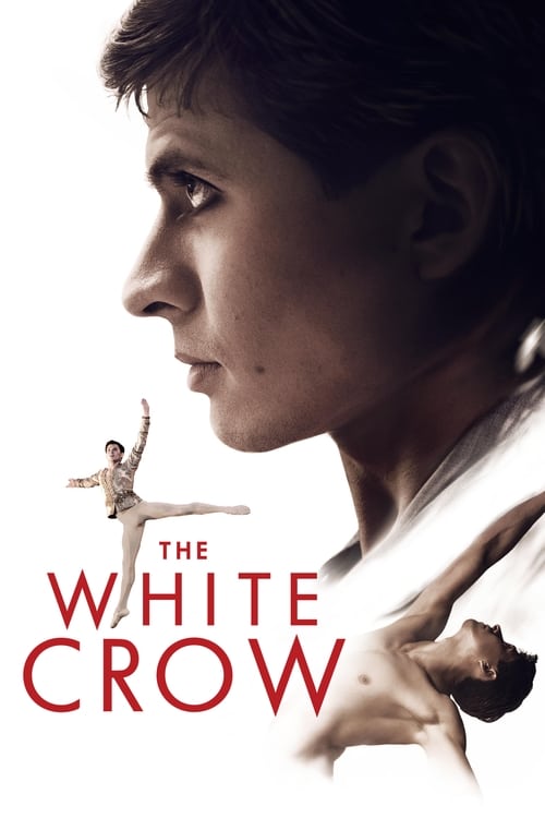 ดูหนังออนไลน์ The White Crow (2018) เดอะ ไวท์​ โครว หนังมาสเตอร์ หนังเต็มเรื่อง ดูหนังฟรีออนไลน์ ดูหนังออนไลน์ หนังออนไลน์ ดูหนังใหม่ หนังพากย์ไทย หนังซับไทย ดูฟรีHD