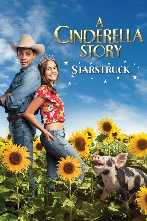 ดูหนังออนไลน์ A Cinderella Story Starstruck (2021)
