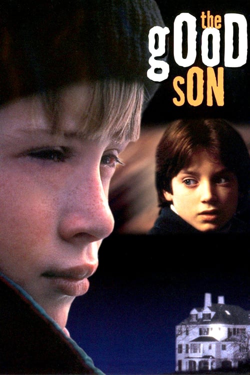 ดูหนังออนไลน์ฟรี The Good Son (1993) โดดเดี่ยวนิสัยมรณะ