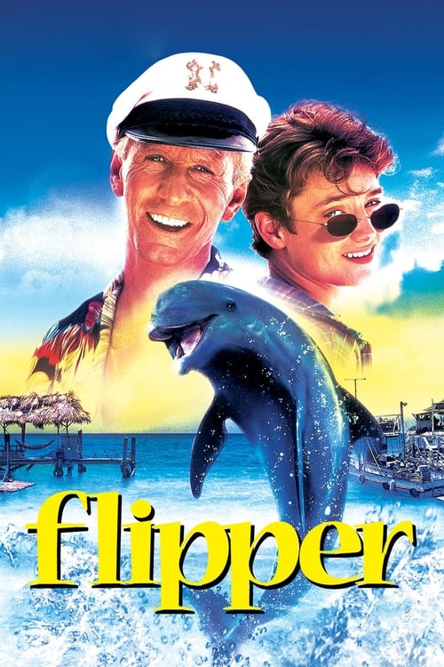 ดูหนังออนไลน์ Flipper (1996) ฟลิปเปอร์ โลมาน้อยเพื่อนมนุษย์