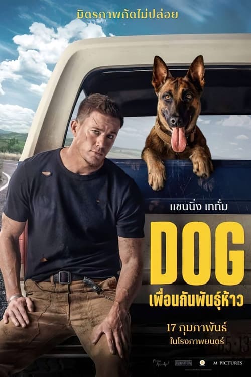 ดูหนังออนไลน์ Dog (2022) ด็อก เพื่อนกันพันธุ์ห้าว หนังมาสเตอร์ หนังเต็มเรื่อง ดูหนังฟรีออนไลน์ ดูหนังออนไลน์ หนังออนไลน์ ดูหนังใหม่ หนังพากย์ไทย หนังซับไทย ดูฟรีHD
