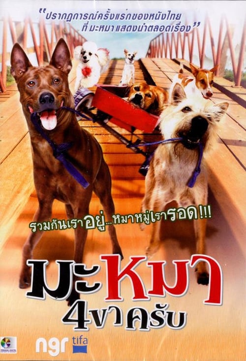 ดูหนังออนไลน์ฟรี Mid Road Gang (2007) มะหมา 4 ขาครับ หนังมาสเตอร์ หนังเต็มเรื่อง ดูหนังฟรีออนไลน์ ดูหนังออนไลน์ หนังออนไลน์ ดูหนังใหม่ หนังพากย์ไทย หนังซับไทย ดูฟรีHD