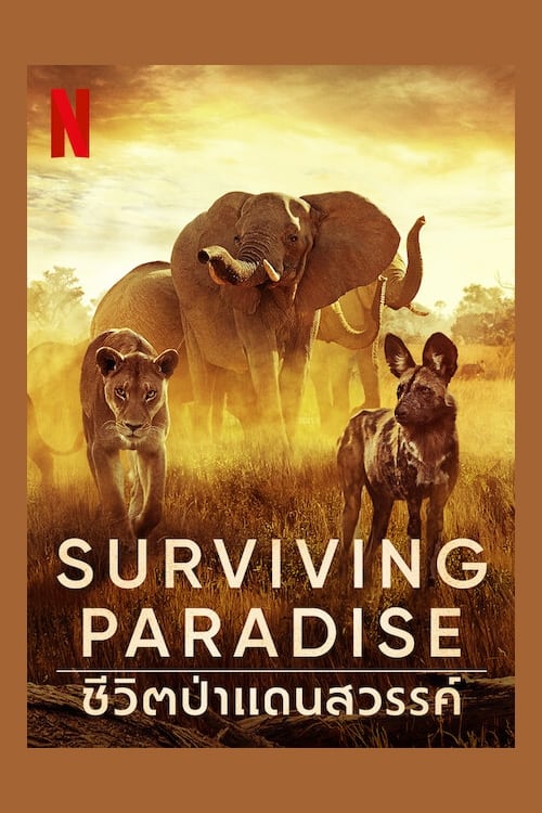 ดูหนังออนไลน์ฟรี [NETFLIX] Surviving Paradise A Family Tale (2022) ชีวิตป่าแดนสวรรค์ หนังมาสเตอร์ หนังเต็มเรื่อง ดูหนังฟรีออนไลน์ ดูหนังออนไลน์ หนังออนไลน์ ดูหนังใหม่ หนังพากย์ไทย หนังซับไทย ดูฟรีHD
