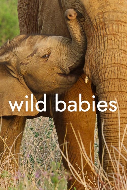 ดูหนังออนไลน์ Wild Babies (2022) เกิดในป่า EP.1-8 (จบ)