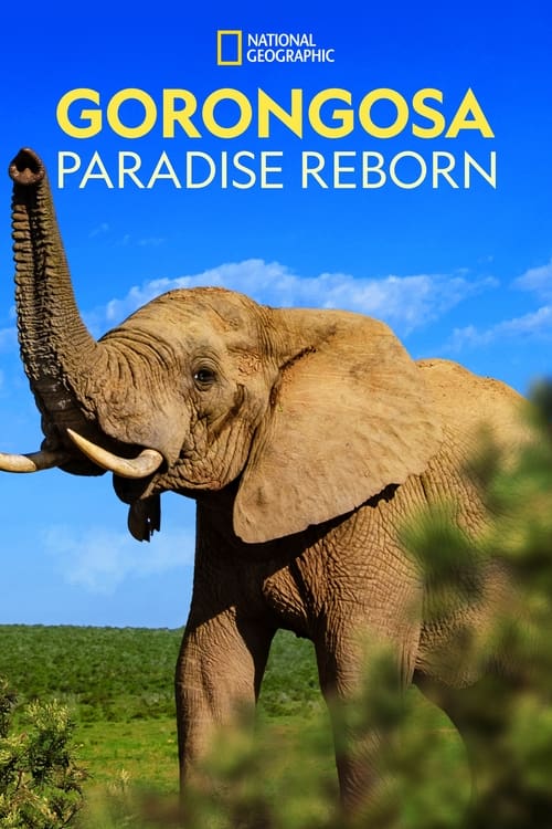 ดูหนังออนไลน์ Gorongosa Paradise Reborn (2022) หนังมาสเตอร์ หนังเต็มเรื่อง ดูหนังฟรีออนไลน์ ดูหนังออนไลน์ หนังออนไลน์ ดูหนังใหม่ หนังพากย์ไทย หนังซับไทย ดูฟรีHD