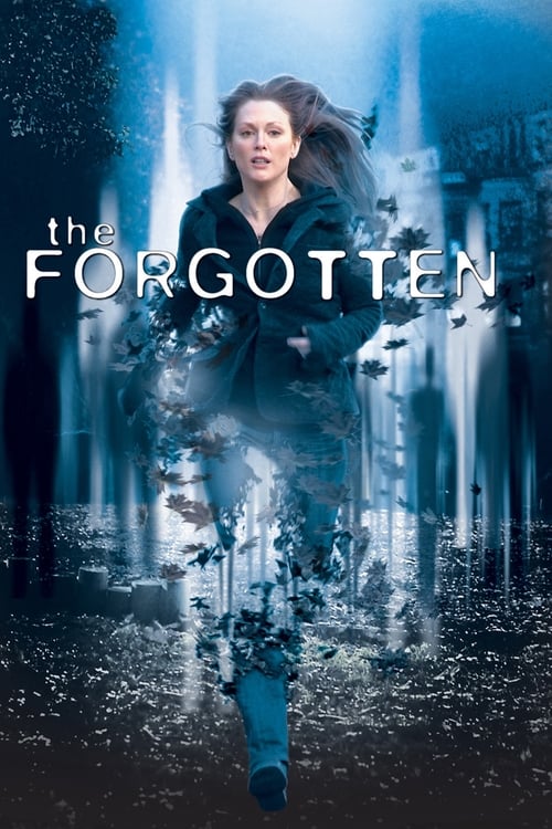 ดูหนังออนไลน์ The Forgotten (2004) ความทรงจำที่สาบสูญ หนังมาสเตอร์ หนังเต็มเรื่อง ดูหนังฟรีออนไลน์ ดูหนังออนไลน์ หนังออนไลน์ ดูหนังใหม่ หนังพากย์ไทย หนังซับไทย ดูฟรีHD