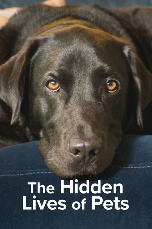 ดูหนังออนไลน์ The Hidden Lives of Pets (2022) ชีวิตลับสัตว์เลี้ยง EP.1-4 (จบ) หนังมาสเตอร์ หนังเต็มเรื่อง ดูหนังฟรีออนไลน์ ดูหนังออนไลน์ หนังออนไลน์ ดูหนังใหม่ หนังพากย์ไทย หนังซับไทย ดูฟรีHD