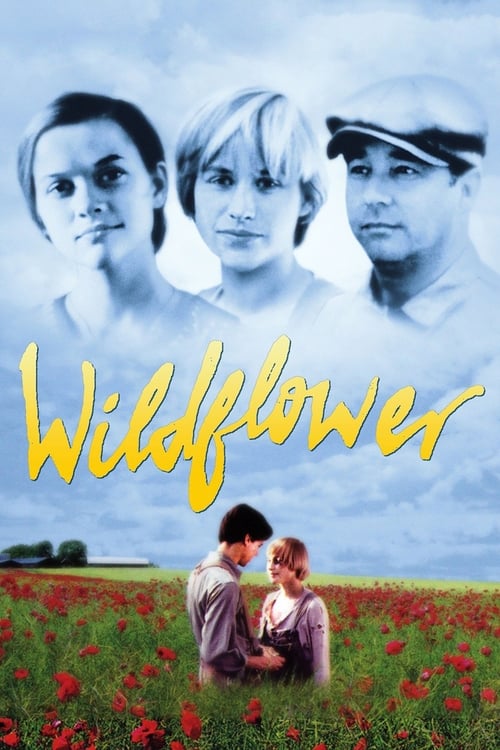 ดูหนังออนไลน์ฟรี Wildflower (1991)
