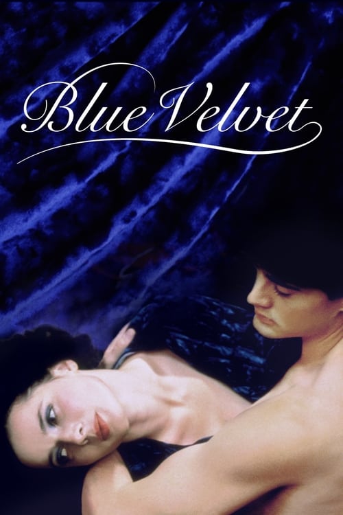 ดูหนังออนไลน์ Blue Velvet (1986) เมืองทมิฬ ปมมรณะ