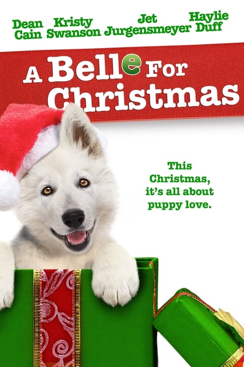 ดูหนังออนไลน์ฟรี A Belle for Christmas (2014)
