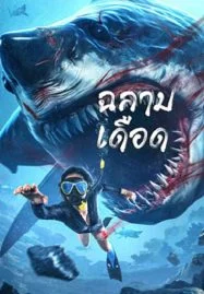 ดูหนังออนไลน์ Shark Evil (2023) ฉลามเดือด หนังมาสเตอร์ หนังเต็มเรื่อง ดูหนังฟรีออนไลน์ ดูหนังออนไลน์ หนังออนไลน์ ดูหนังใหม่ หนังพากย์ไทย หนังซับไทย ดูฟรีHD