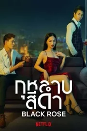 ดูหนังออนไลน์ฟรี Black Rose (2023) กุหลาบสีดำ หนังมาสเตอร์ หนังเต็มเรื่อง ดูหนังฟรีออนไลน์ ดูหนังออนไลน์ หนังออนไลน์ ดูหนังใหม่ หนังพากย์ไทย หนังซับไทย ดูฟรีHD