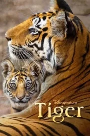 ดูหนังออนไลน์ Tiger (2024) หนังมาสเตอร์ หนังเต็มเรื่อง ดูหนังฟรีออนไลน์ ดูหนังออนไลน์ หนังออนไลน์ ดูหนังใหม่ หนังพากย์ไทย หนังซับไทย ดูฟรีHD