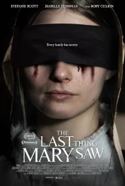 ดูหนังออนไลน์ฟรี The Last Thing Mary Saw (2021)