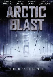 ดูหนังออนไลน์ฟรี Arctic Blast (2010) มหาวินาศปฐพีขั้วโลก