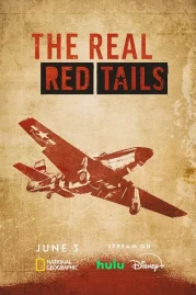 ดูหนังออนไลน์ฟรี The Real Red Tails (2024)