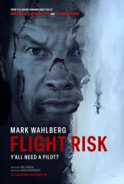 ดูหนังออนไลน์ Flight Risk (2024)