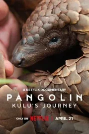 ดูหนังออนไลน์ Pangolin Kulu s Journey (2025) การเดินทางของคูลู หนังมาสเตอร์ หนังเต็มเรื่อง ดูหนังฟรีออนไลน์ ดูหนังออนไลน์ หนังออนไลน์ ดูหนังใหม่ หนังพากย์ไทย หนังซับไทย ดูฟรีHD