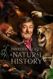 ดูหนังออนไลน์ Fantastic Beasts A Natural History (2022) หนังมาสเตอร์ หนังเต็มเรื่อง ดูหนังฟรีออนไลน์ ดูหนังออนไลน์ หนังออนไลน์ ดูหนังใหม่ หนังพากย์ไทย หนังซับไทย ดูฟรีHD