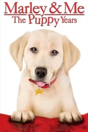 ดูหนังออนไลน์ Marley and Me The Puppy Years (2011) หนังมาสเตอร์ หนังเต็มเรื่อง ดูหนังฟรีออนไลน์ ดูหนังออนไลน์ หนังออนไลน์ ดูหนังใหม่ หนังพากย์ไทย หนังซับไทย ดูฟรีHD