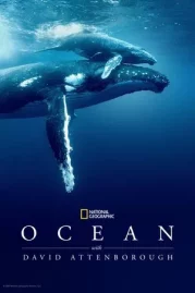 ดูหนังออนไลน์ Ocean with David Attenborough (2025) หนังมาสเตอร์ หนังเต็มเรื่อง ดูหนังฟรีออนไลน์ ดูหนังออนไลน์ หนังออนไลน์ ดูหนังใหม่ หนังพากย์ไทย หนังซับไทย ดูฟรีHD
